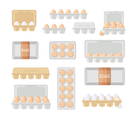 Front and top view of eggs in boxes vector illustrations set. Fresh chicken eggs in open and closed cardboard containers with label isolated on white background. Agriculture, farming, food conceptのイラスト素材