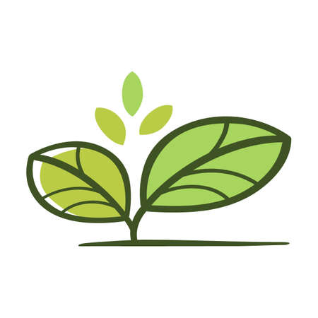 Eco and organic logo flat icon. Fresh, natural, gluten free food stamps vector illustration set. Vegan bio GMO free food. Nature and healthy products conceptのイラスト素材