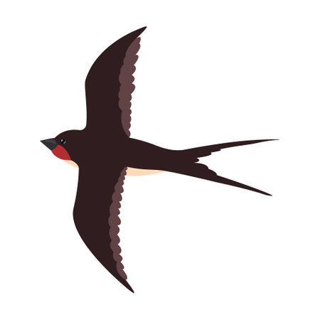 Colorful flying swallows flat illustration. Cartoon birds flock isolated vector illustration. Wildlife and fauna conceptのイラスト素材