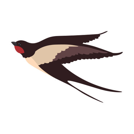 Colorful flying swallows flat illustration. Bird flock in fight with different poses isolated vector illustration. Wildlife and fauna conceptのイラスト素材