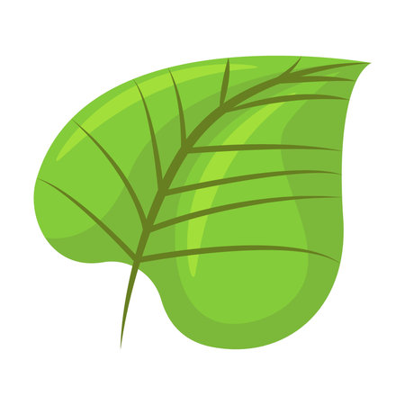 Plant leaf. Tropical cocktail, flamingo, Hawaiian flower, fruits, ice cream, watermelon isolated on white. Vector illustrationのイラスト素材