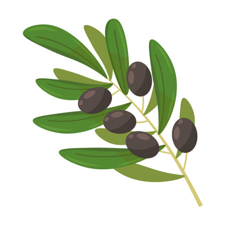 Plants and nutrition concept. Colorful olive bunch flat for web design. Cartoon olive tree, oil and branches with olives isolated vector illustrationのイラスト素材