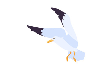 Cartoon beach seagull flying in sky vector illustration. Isolated flat gull sitting and soaring on blue background. Atlantic bird, nature concept for apps, advertisingのイラスト素材