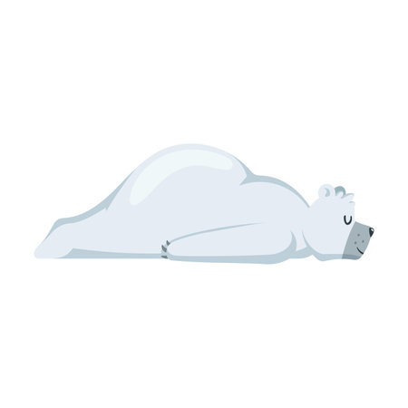 Cute polar bear. White arctic animal sleeping. Cartoon vector illustration. Zoo, winter, wildlife, fauna conceptのイラスト素材