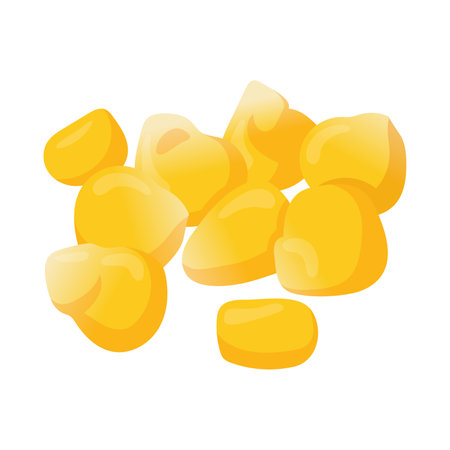Plant corn seeds and cereals illustration. Grains and beans vector illustration. Corn Vegetarian conceptのイラスト素材
