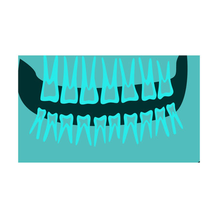 Ray of human upper and lower jaw with teeth vector illustration. Bones of skeleton, roentgen,...