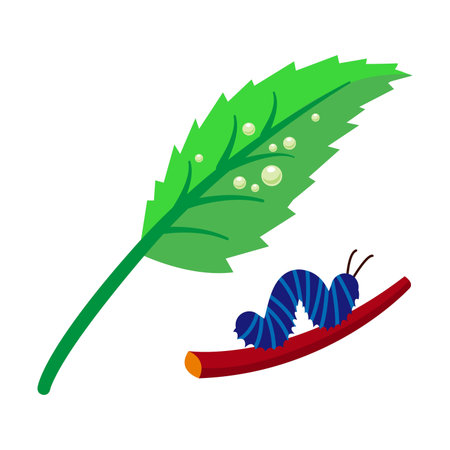 Caterpillar crawling on tree branch. Life cycle of butterfly vector illustration. Stage of insect isolated on white background. Nature, biology conceptのイラスト素材