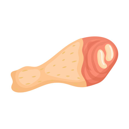 Raw chicken leg, chicken thigh. Product vector ingredient illustration isolated on white backgroundのイラスト素材