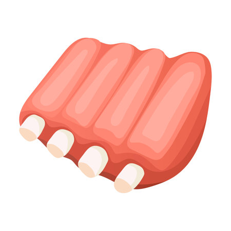 Meat on ribs. Product vector ingredient illustration isolated on white backgroundのイラスト素材