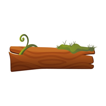 Wooden sign with lianas cartoon illustration. Arrow and rectangle signboard or poles for information in forest or jungle with green leaves, tropical plantsのイラスト素材