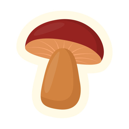 Cute mushroom on a thick leg isolated on white background. Autumn flat vector illustration. Autumn or fall conceptのイラスト素材