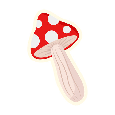 Cute poisonous fly agaric mushroom with red cap and white dots isolated on white background. Autumn flat vector illustration. Autumn or fall conceptのイラスト素材