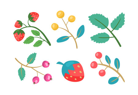 Cute berries with branches and leaves vector illustrations set. Cartoon drawings of red and yellow berries, strawberry, rowan, rosehip isolated on white background. Gardening, nature conceptのイラスト素材