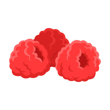 Drawing of red ripe raspberries isolated on white background. Folk remedies for treatment of colds...