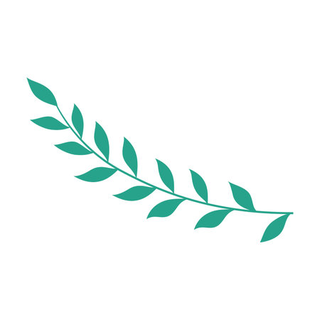 Green tree leaves vector. Cartoon drawing of leaves of plants, flowers isolated on white background. Nature, foliage, botany, flora, autumn or fall conceptのイラスト素材