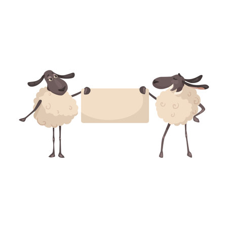 Two comic sheep holding empty banner vector illustration. Cartoon drawing of mammal characters with announcement isolated on white background. Advertising, marketing conceptのイラスト素材