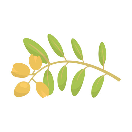 Sprig of exotic berries with leaves vector illustration. Cartoon drawing of fresh ingredient for cooking oil isolated on white background. Organic food, nutrition, diet, culinary conceptのイラスト素材