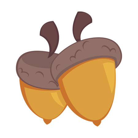 Autumn acorns fallen from oak flat vector illustration. Cartoon drawing of floral autumnal element. Autumn or fall, decoration, nature conceptのイラスト素材