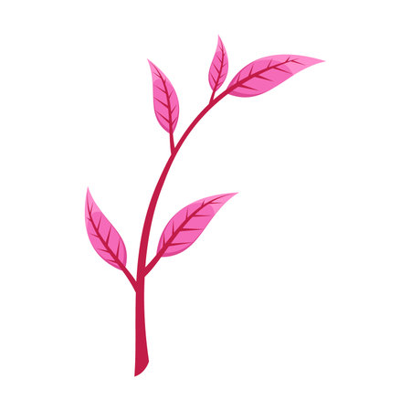 Autumn pink leaves on twig flat vector. Cartoon drawing of floral autumnal element, pink leaves, branch. Autumn decoration, nature concept.のイラスト素材
