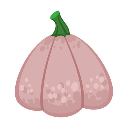 Ripe pumpkin on white background. Autumn harvesting and seasonal vegetables cartoon illustration. Autumn of fall conceptのイラスト素材
