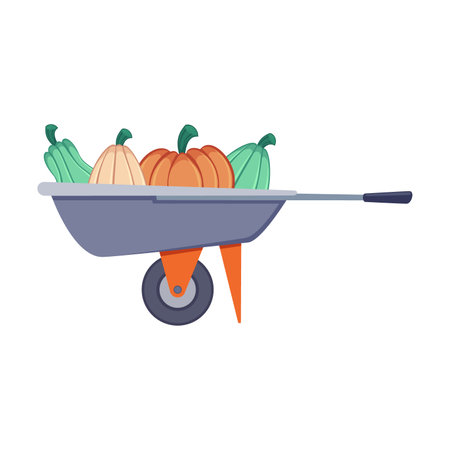 Pumpkins in wheelbarrow vector. Drawing of pumpkin for farmhouse isolated on white background. Autumn or fall, Thanksgiving, harvest conceptのイラスト素材