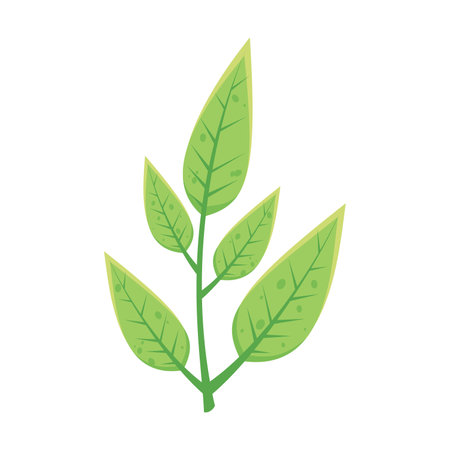 Autumn green leaves on twig flat vector illustration. Cartoon drawing of floral autumnal element, green leaves, branch. Autumn decoration, nature concept.のイラスト素材