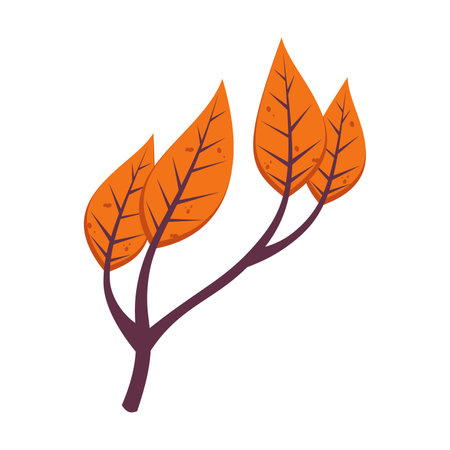Autumn orange leaves illustration. Cartoon drawing of floral autumnal element, orange leaves, branch. Autumn decoration, nature concept.のイラスト素材