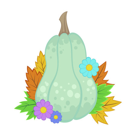 Pumpkin or zucchini with flowers on white background. Squash with autumn leaves. Autumn or fall, harvesting conceptのイラスト素材