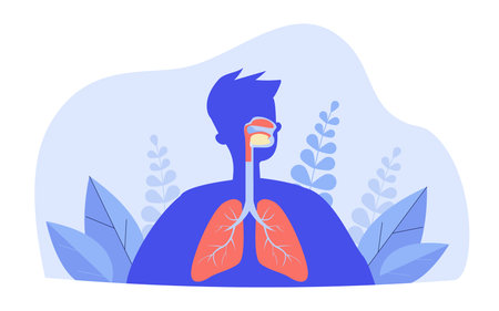 Silhouette of person with lungs, trachea, bronchus. Vector illustration. Respiratory system, anatomy, health education conceptのイラスト素材