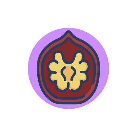 Walnut colorful line icon. Half, shell, kernel. Natural ingredient or organic food concept. Vector illustration for web design and appsのイラスト素材