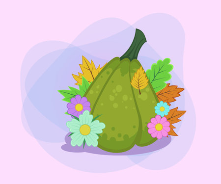 Green pumpkin with autumn leaves and flowers vector illustration. Cartoon drawings for poster or banner design. Nature, vegetables, autumn or fall, harvest, Thanksgiving day conceptのイラスト素材