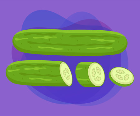 Cut and sliced cucumber or zucchini vector illustrations set. Collection of cartoon drawings of slices of green vegetable, whole and cut cucumber or zucchini. Food, nutrition, diet conceptのイラスト素材
