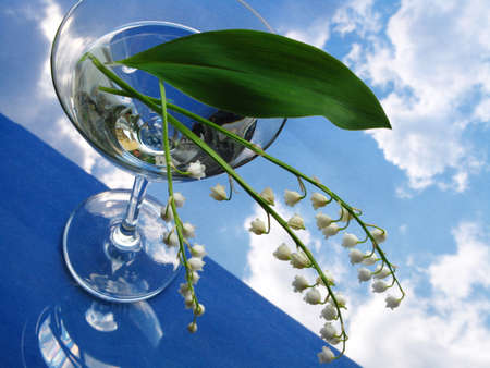 lily of the valley in glass over blue skyの写真素材