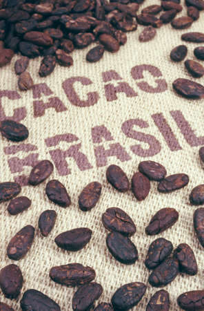 Cocoa beans and hessianの写真素材