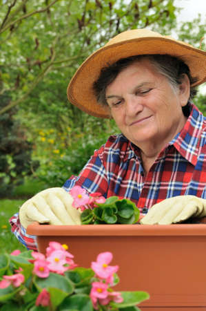 Senior woman - gardening Senior woman - gardening