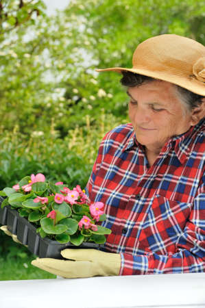 Senior woman - gardeningの写真素材