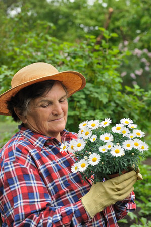 Senior woman gardeningの写真素材