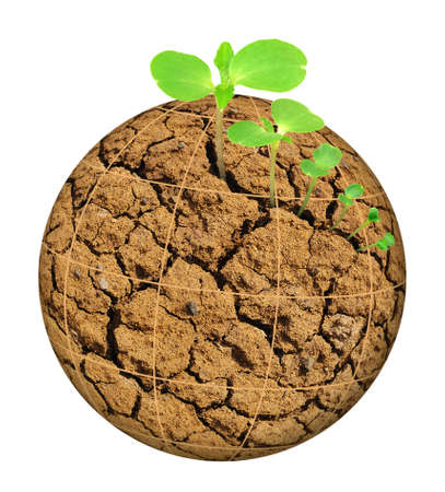 Plant growing out of parched planet, evolution concept, isolated on whiteの写真素材