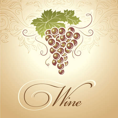  Bunch of grapes for labels of wineのイラスト素材