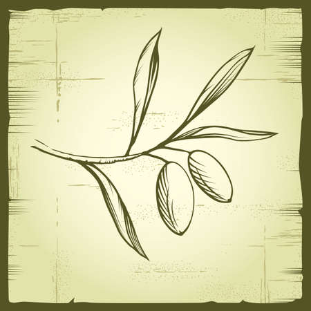 Vector decorative olive branch のイラスト素材