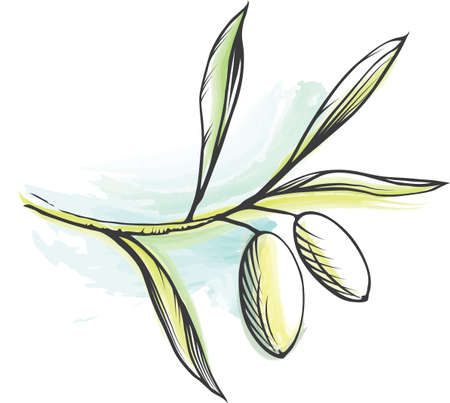 Vector decorative olive branch のイラスト素材