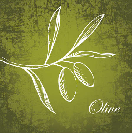 Vector olive branch on old paper のイラスト素材