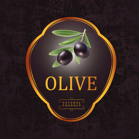 Vector black olives with leaves For labels, packagingのイラスト素材