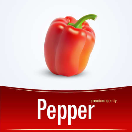 bell pepper, vector illustration paprikaのイラスト素材