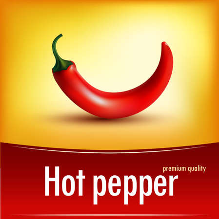 Photorealistic illustration of a chilli in  vector formatのイラスト素材