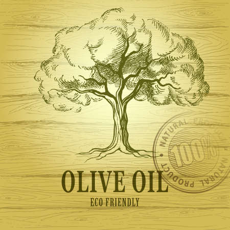 Olive oil. Vector  olive tree. For labels, pack. eco friendly.のイラスト素材