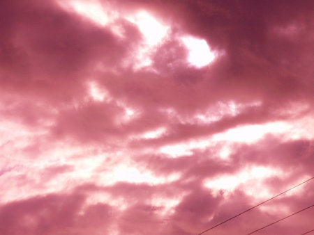 purple xplosionの写真素材