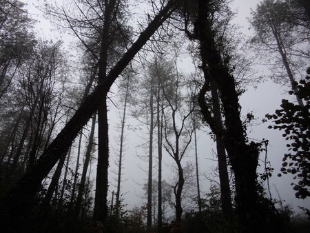 Silenceの写真素材