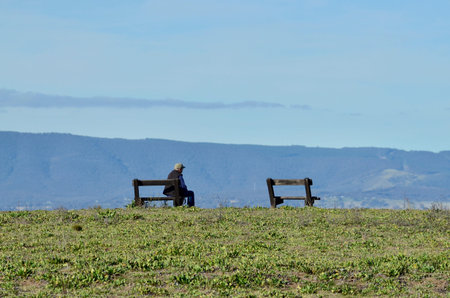 A man looks at the view from high on a hill