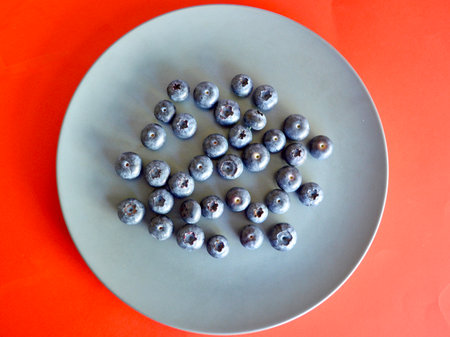 Blueberries on a plate on a red background. The concept of healthy eating.の写真素材